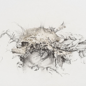 Ulrike Waninger - MIIPu1
