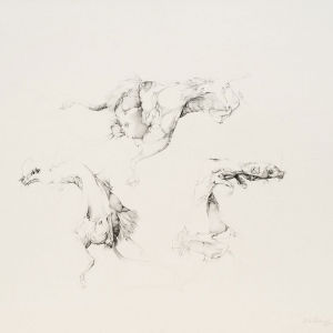 Ulrike Waninger - Mausstudie