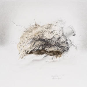 Ulrike Waninger - Puppnkpf
