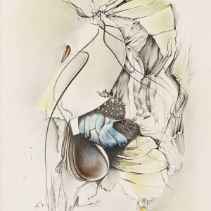 Ulrike Waninger – Verwandlung