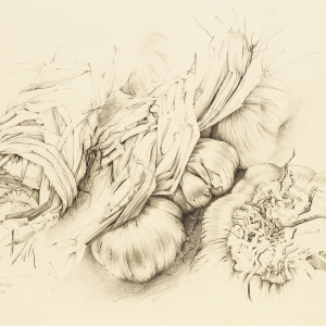 U. Waninger - Knoblauch