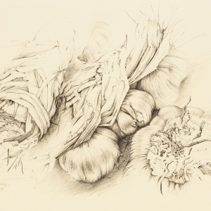 U. Waninger - Knoblauch